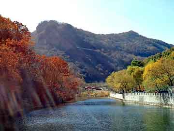 正版澳门天天开彩大全，庞家农场